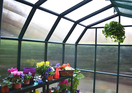 All Season Greenhouse