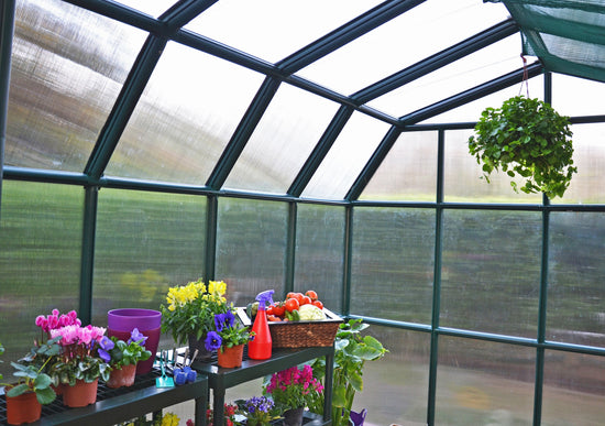 All Season Greenhouse