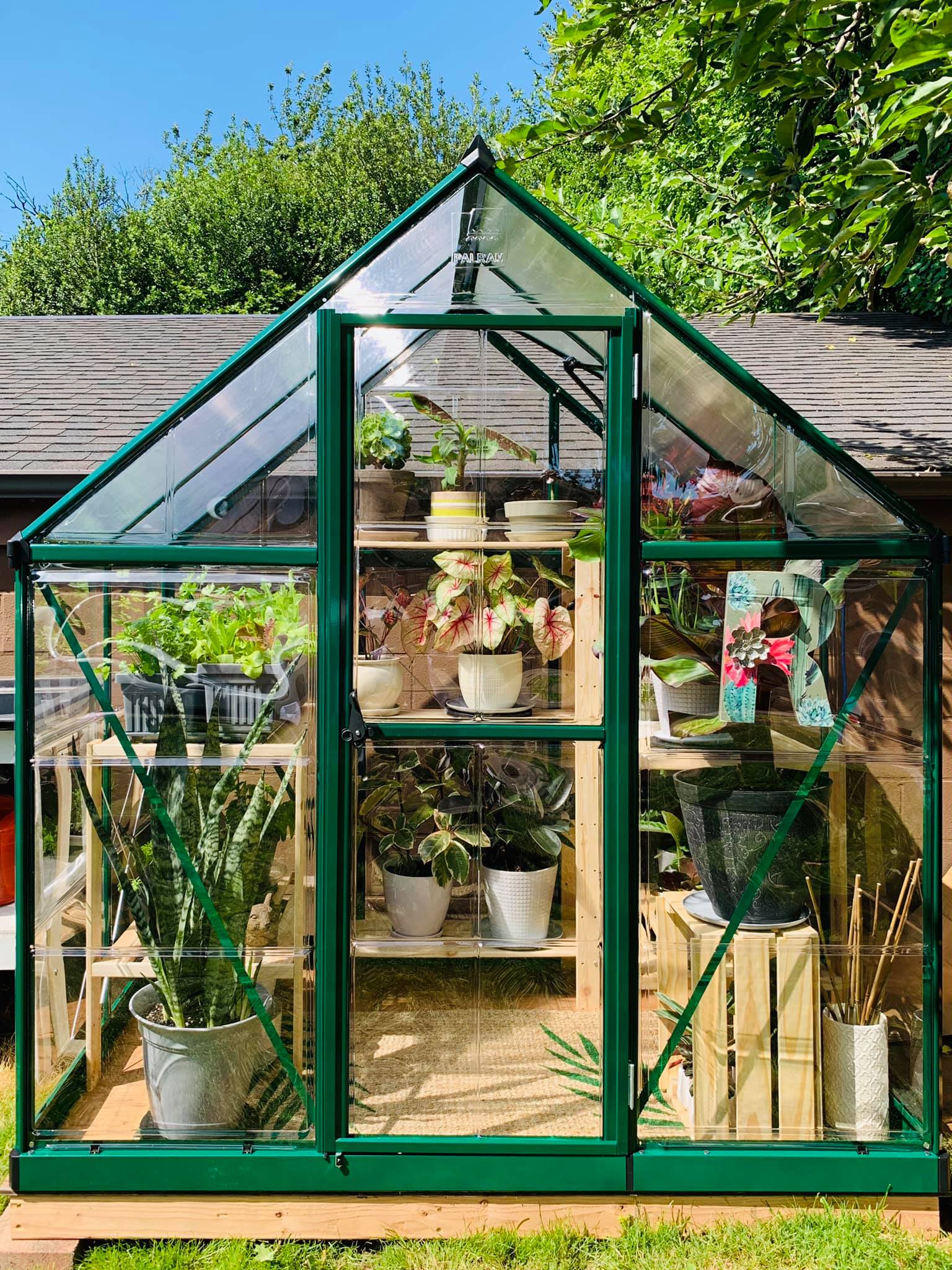 Hybrid™ 6x7x4.ft Clear Wall Greenhouse - Dive To Garden