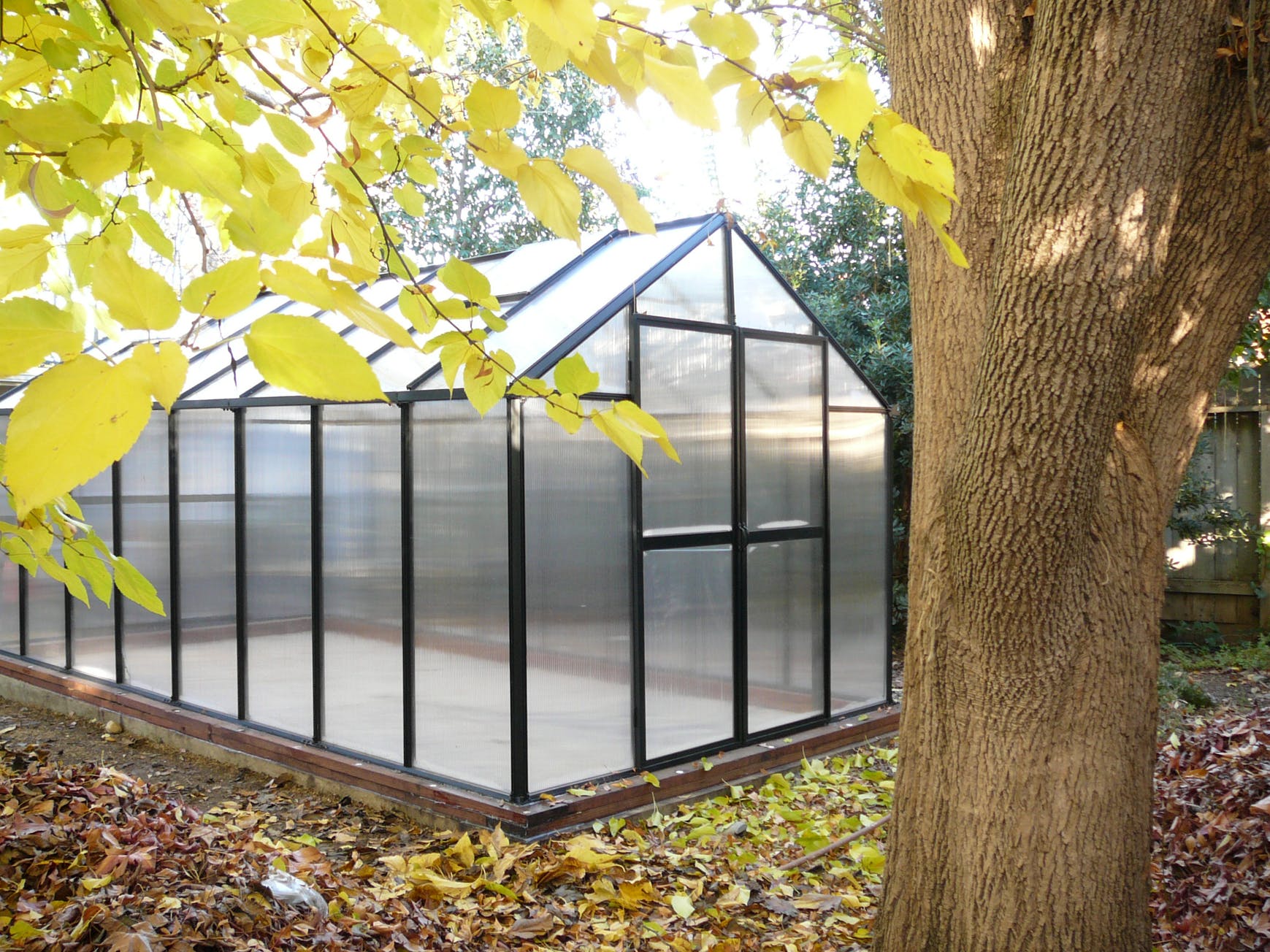 MONT™ 8x8x16.ft Large Entrance Greenhouse - Dive To Garden