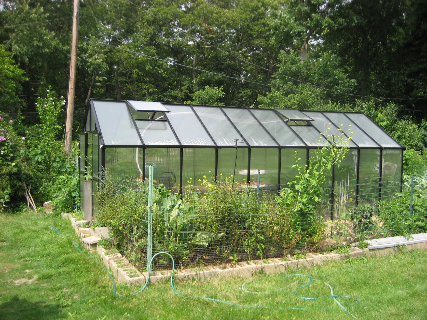 MONT™ 8x8x20 Large Entrance Greenhouse - Dive To Garden
