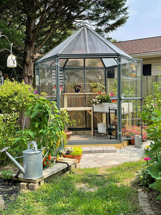 Oasis™ 7x8x8.ft Clear Wall Hexagonal Greenhouse - Dive To Garden