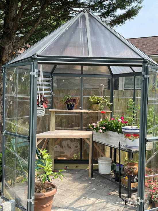 Oasis™ 7x8x8.ft Clear Wall Hexagonal Greenhouse - Dive To Garden