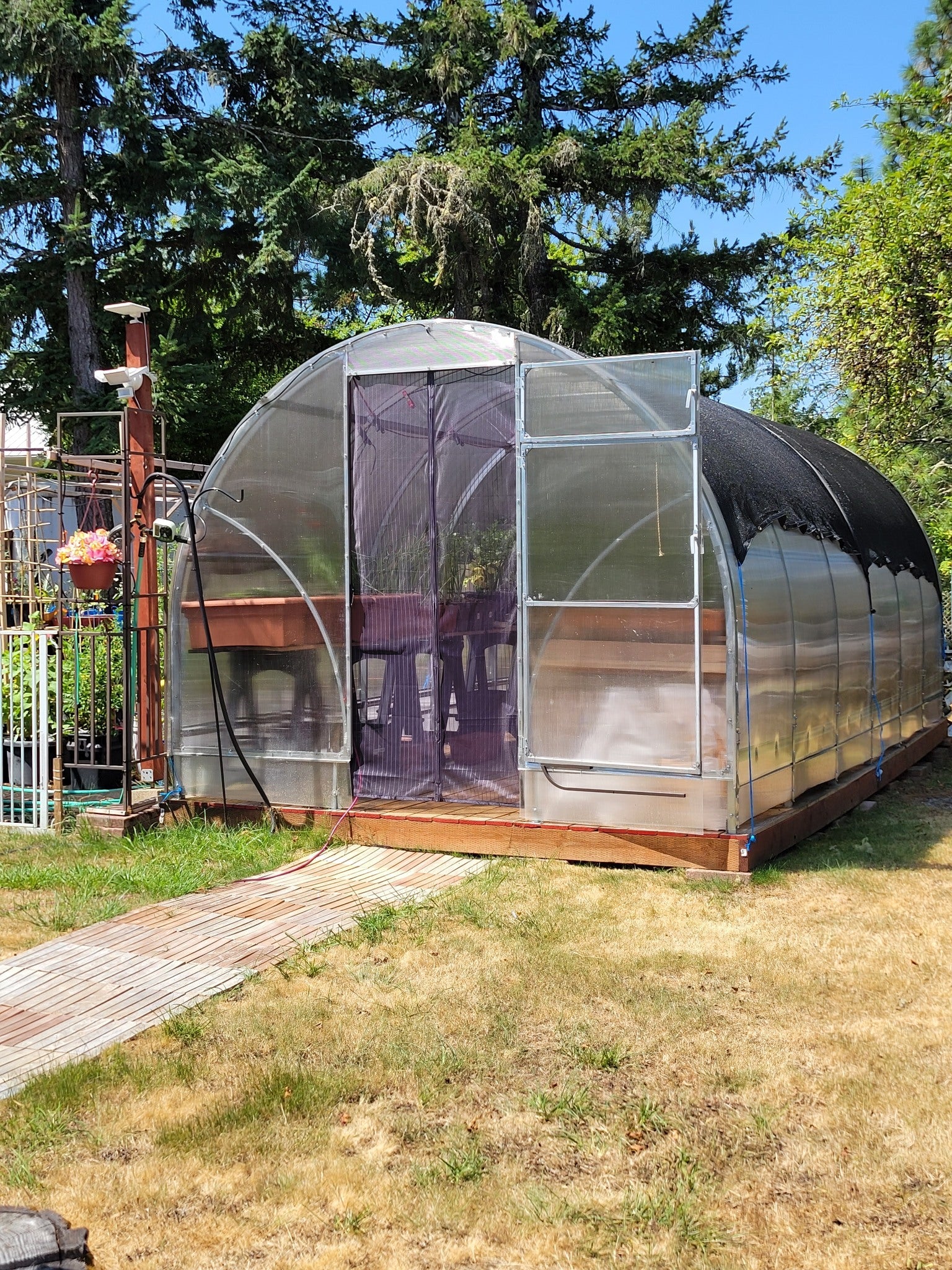Sigma 32™ 10x7x32.ft Greenhouse - Dive To Garden